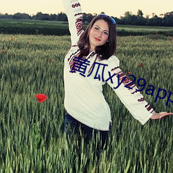 黄瓜xy29app