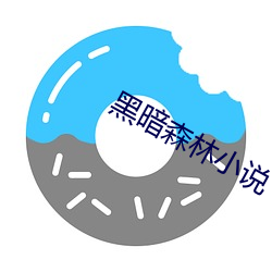 黑暗森林小说