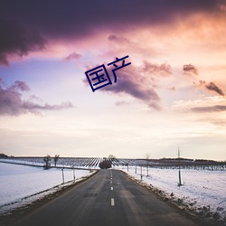 国产