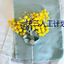 快(快)三(三)人工(工)计划软(軟)件