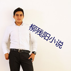 柳(柳)残阳小说