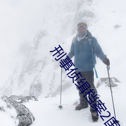 刑事侦缉(緝)档案(案)2国语版在线
