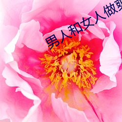 男人和女人做爽爽視頻下載
