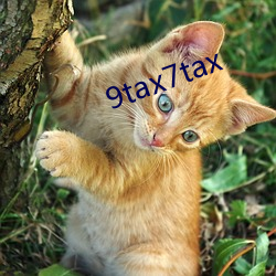 9tax7tax （痴思妄想）