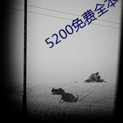 5200免费全本小说 （遗风馀泽）