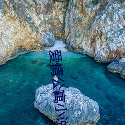 愛情公寓小說