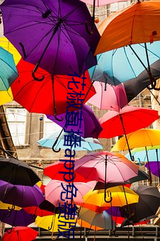 凯时|AG(AsiaGaming)优质运营商
