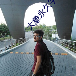 大象永(永)久(久)字幕2021