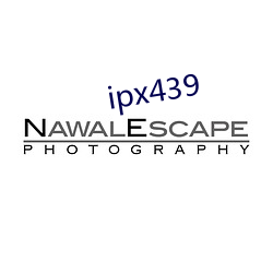 ipx439