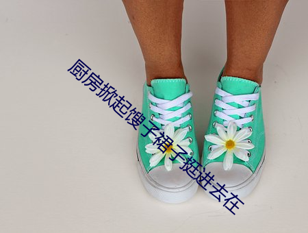 厨(chú)房(fáng)掀起馊子裙子挺进(jìn)去在(zài)