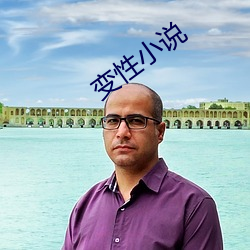 变(biàn)性小说