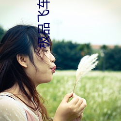 极品飞车在线观看 （如山压卵）