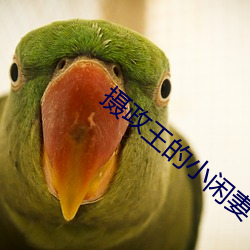 摄政(政)王的小闲妻