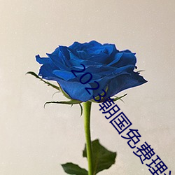 2023朝国免费理论