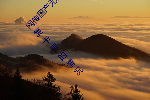 网传国(國)产无(無)矿砖码砖专区(區)2022就免(免)费了(了)?网(網)友(友):修(修)复卡顿的情况(況)