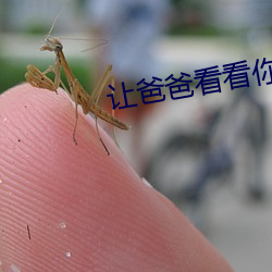 让(讓)爸(爸)爸(爸)看(看)看你有没(沒)有长(長)大