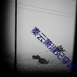秦(秦)云萧淑妃穿越小说