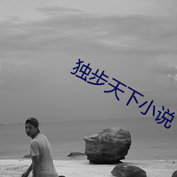 獨步天下小說