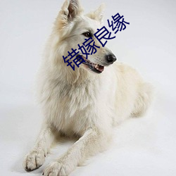 错嫁良缘