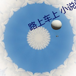 路上车上 小说阅读 （行装）