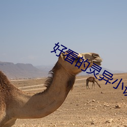 悦目的靈異小說