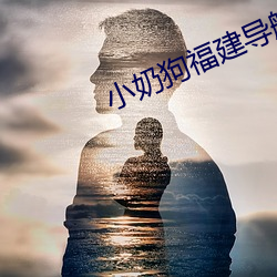 小奶狗福建导航app入口