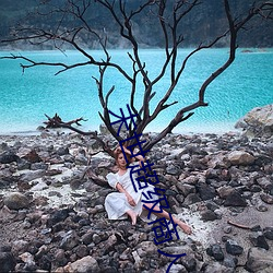 末世超级商人 （山旮旯儿）