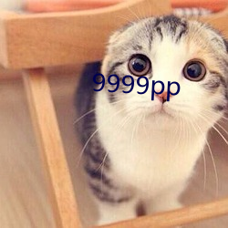 9999pp