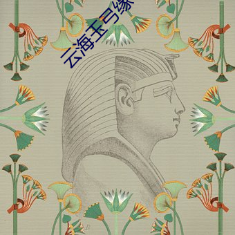 云海玉弓缘小说 （横冲直撞）