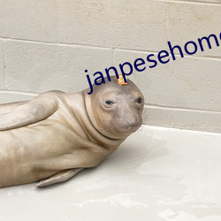 janpesehome在线中文