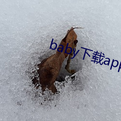 baby下載app下載大秀