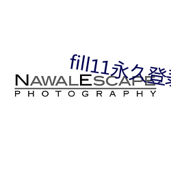 fill11永(yǒng)久登录窗口