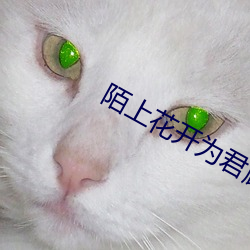 陌(陌)上(上)花(花)开为(爲)君顾