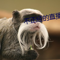 不正经的直播app （无济于事）
