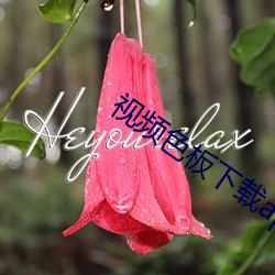 视频色板(板)下载app免费