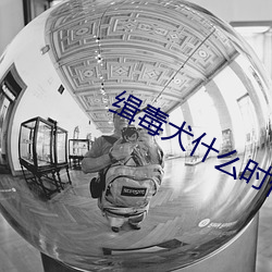 緝毒犬什麽時候開始使用的國內