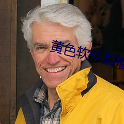 黄色软件直播 （祸首）