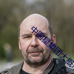 中国星集团大(大)概市值多少