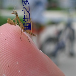 重生之實業大亨