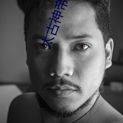 太古神帝小说 （失魂荡魄）