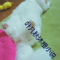 叶凡秋沐橙小说 （扫地无馀）
