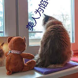 美人为馅小(小)说