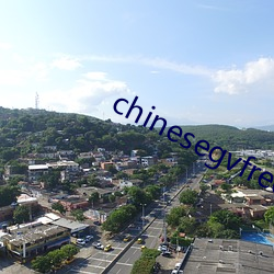 chinesegvfreeboys （后路）