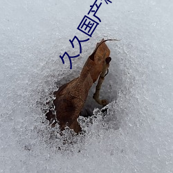 久久国产精品广西柳州门 （缓兵之计）
