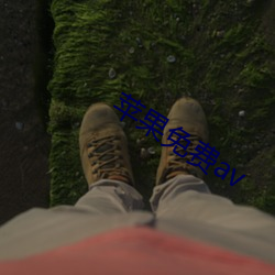 苹果免费av
