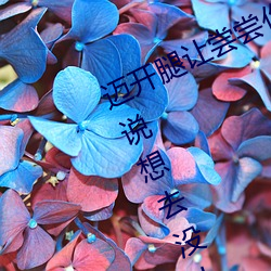 迈开腿(tuǐ)让(ràng)尝尝你的森林是什么意思 他说想去没人的地(dì)方(fāng)蹭我