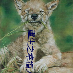 重生之幸福人生(生)紫青(青)悠