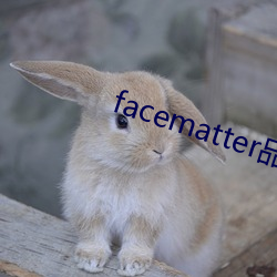 facematter品牌