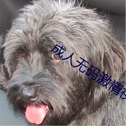 成人(rén)无码激情视频在线观(guān)看