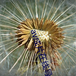 av成片在线导(導)航